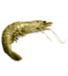 Seafood